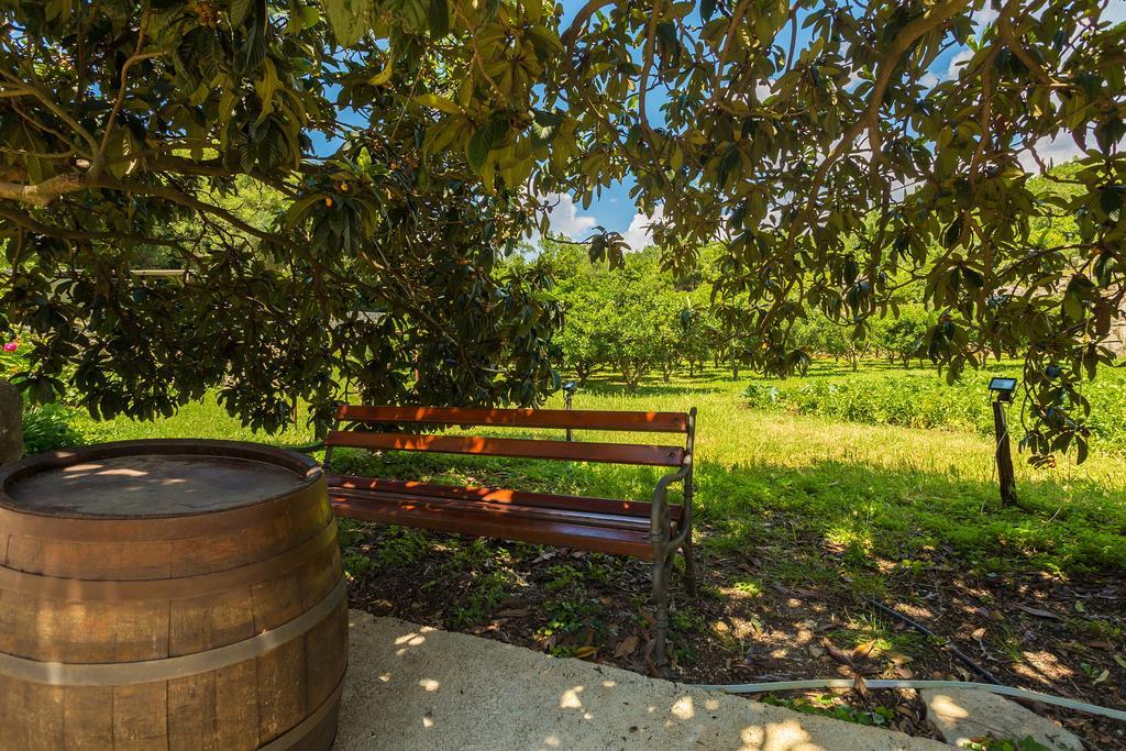 Konavle Apartments Zlatovisce Gruda Zewnętrze zdjęcie