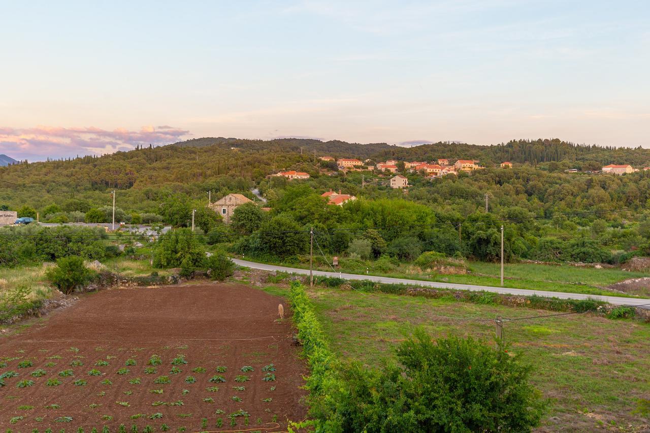 Konavle Apartments Zlatovisce Gruda Zewnętrze zdjęcie